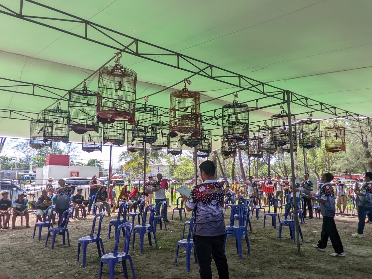 Heboh Murai Batu Rp1 Miliar, Pemkot Bengkulu Siapkan Arena Lomba Burung Permanen di Pantai Panjang
