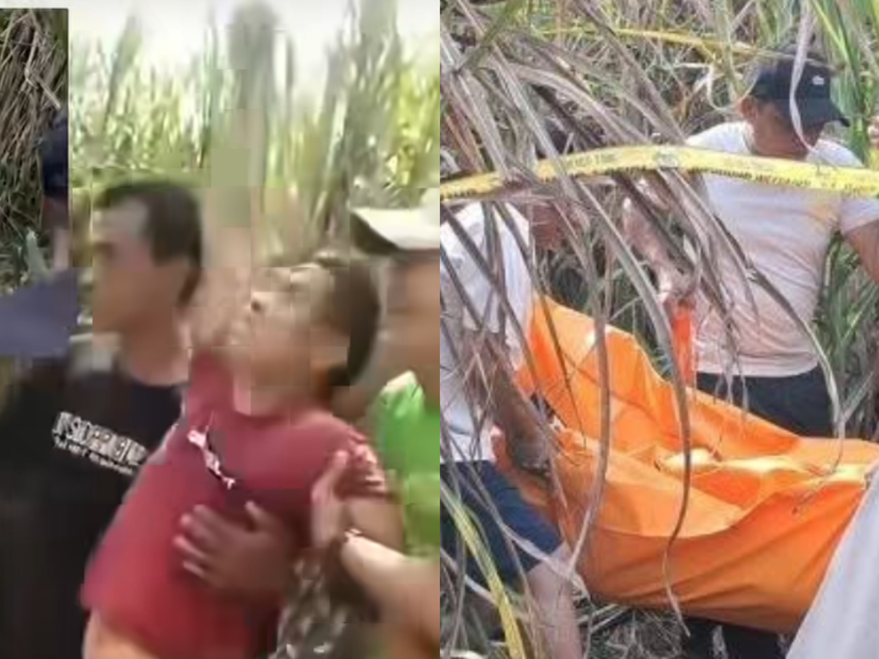 Suami Histeris di TKP Istri Hamil Ditemukan Tak Bernyawa di Kebun Tebu, Sempat Pamit Antar Pesanan