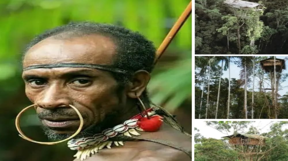 Suku Korowai, Salah Satu Suku Kanibal dan Terpencil dari Papua Indonesia