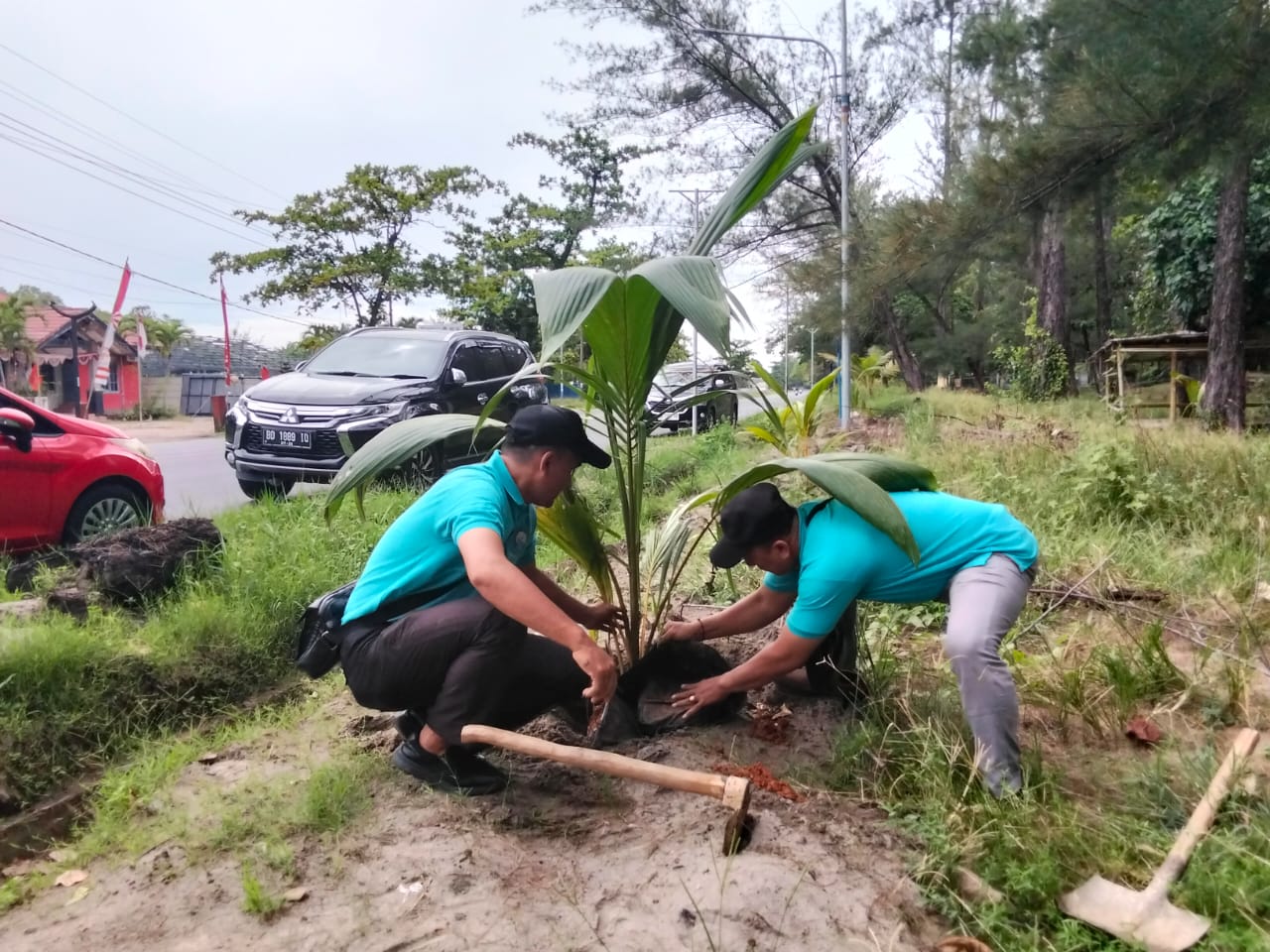 Tanam 50 Pohon Kelapa, BKSAG dan Dinas Pariwisata Kota Bengkulu Wujudkan Pantai Panjang yang Lebih Hijau