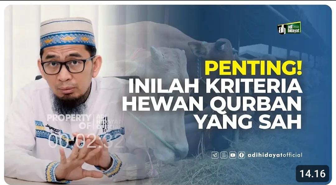 Ini Kriteria Hewan Kurban Berdasarkan Usia dan Fisik Menurut Ustadz Adi Hidayat