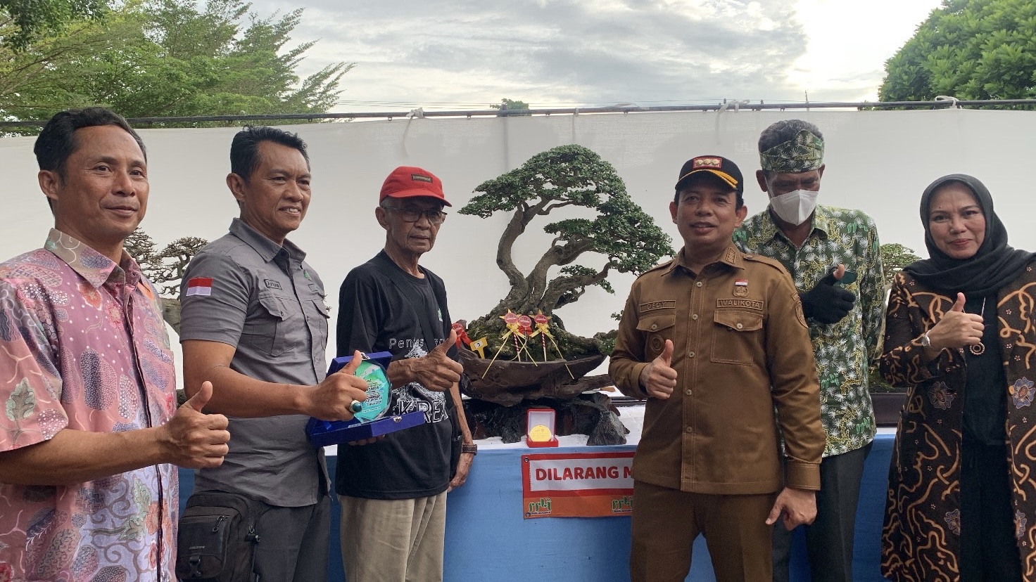 Kontes Bonsai HUT Rakyat Bengkulu Ke-24 Sukses Digelar, Alfian Gustiman Raih Best in Show