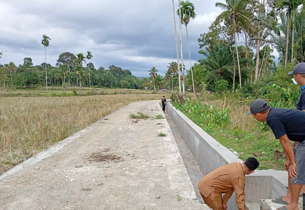 Didukung Irigasi Teknis, Lebih dari 2.000 Hektare Sawah di Mukomuko Bisa Tanam Padi Tiga Kali Setahun