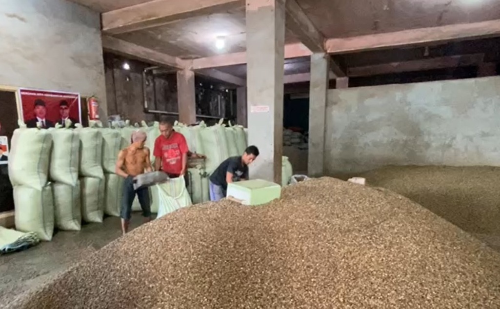 Setelah Anjlok Dua Bulan, Harga Kopi Tembus Rp60 Ribu per Kg