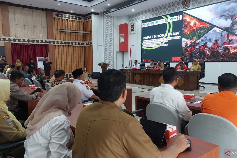 1.350 Hotspot Muncul di Bengkulu, Pemprov Mulai Tegur Perusahaan Perkebunan