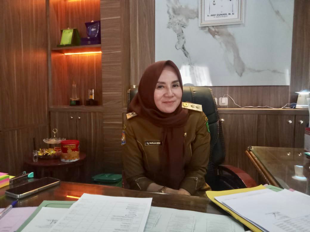 Pendapatan Pajak Restoran Lebihi Pajak Hotel di Bengkulu pada Januari 2025