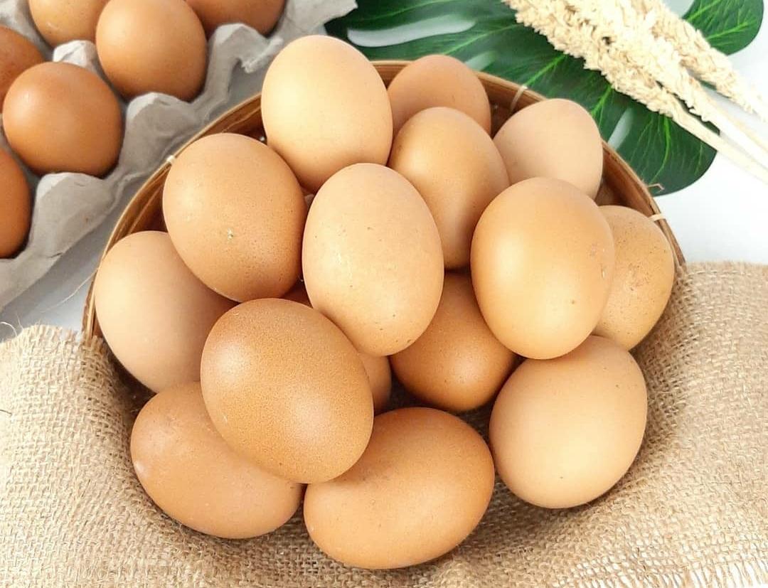 Segudang Manfaat Mengonsumsi Telur Ayam dan Tips Memilih Telur Ayam yang Berkualitas 
