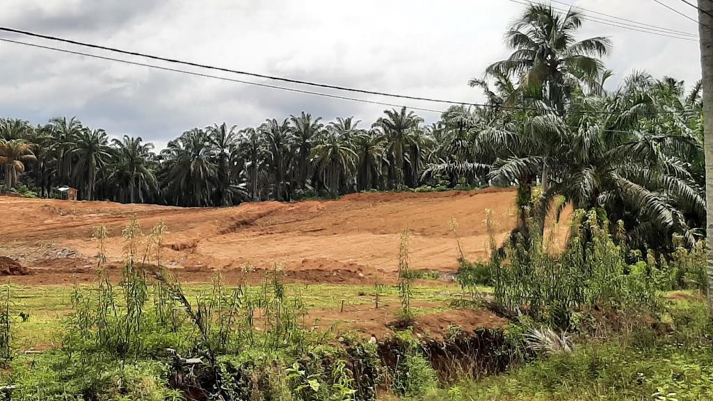 Dorong ASN Tinggal di Daerah, Pemkab Bengkulu Tengah Siapkan Rusun dan Rumah Tanpa DP