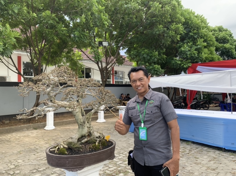Geliat Seni Bonsai Meriahkan HUT RB Ke-24, Peserta Kontes dari Luar Daerah Mulai Berdatangan