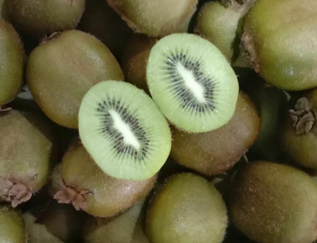 10 Alasan Mengapa Buah Kiwi Harus Ada di Menu Sehat Anda