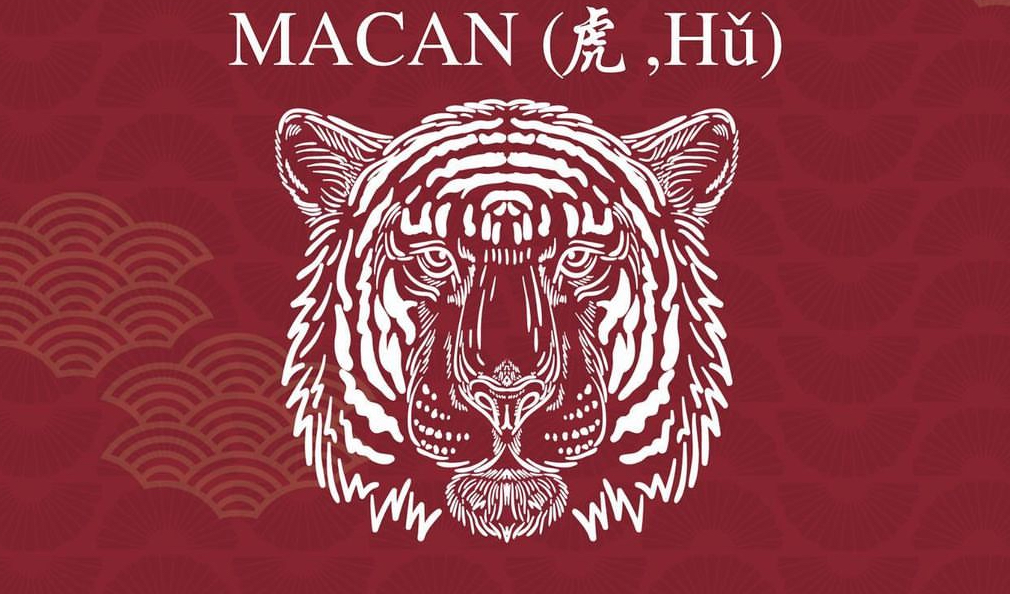 5 Cara Ampuh untuk Shio Macan Hindari Ciong di Tahun Ular Kayu 2025