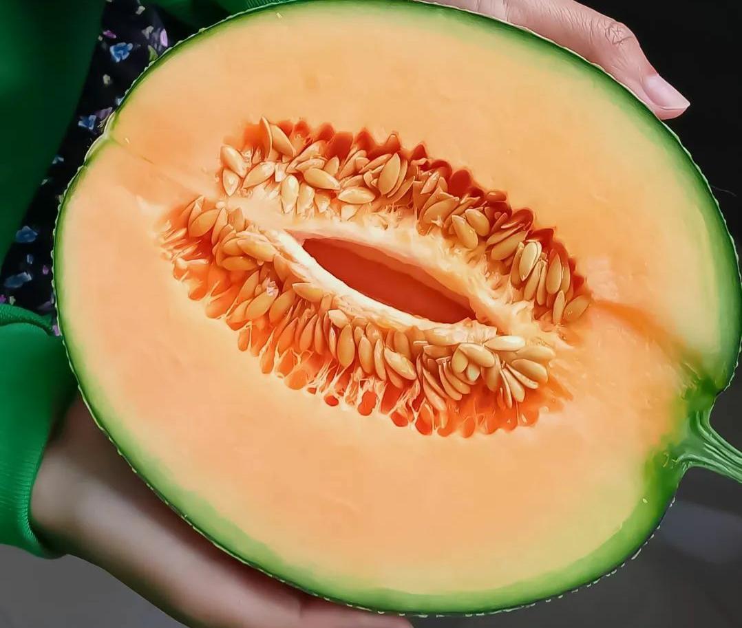 Mengenal Lebih Dalam 7 Manfaat Buah Melon untuk Kesehatan
