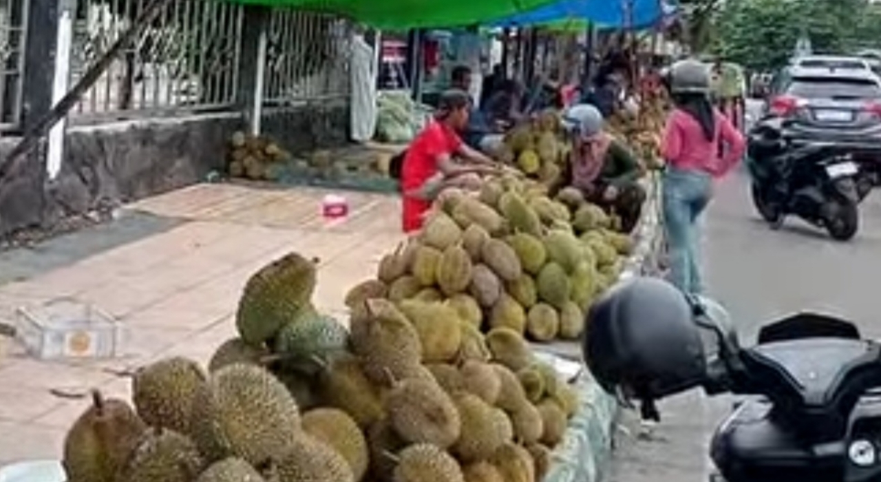 5 Rekomendasi Tempat Berburu Durian Terbaik di Kota Bengkulu, Penggemar Raja Buah Wajib Tahu!