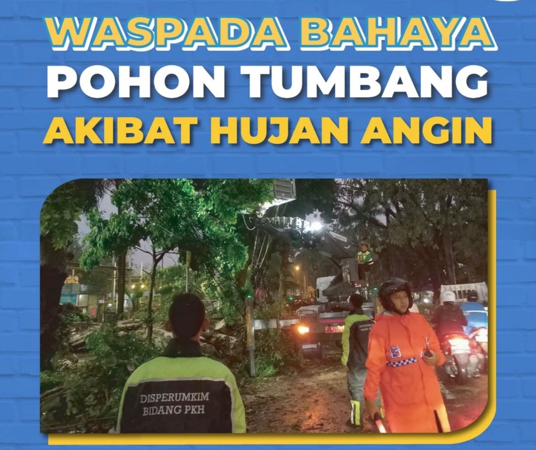 Waspadai Pohon Tumbang Saat Hujan Angin di Provinsi Bengkulu: Ini Langkah-Langkah yang Harus Dilakukan