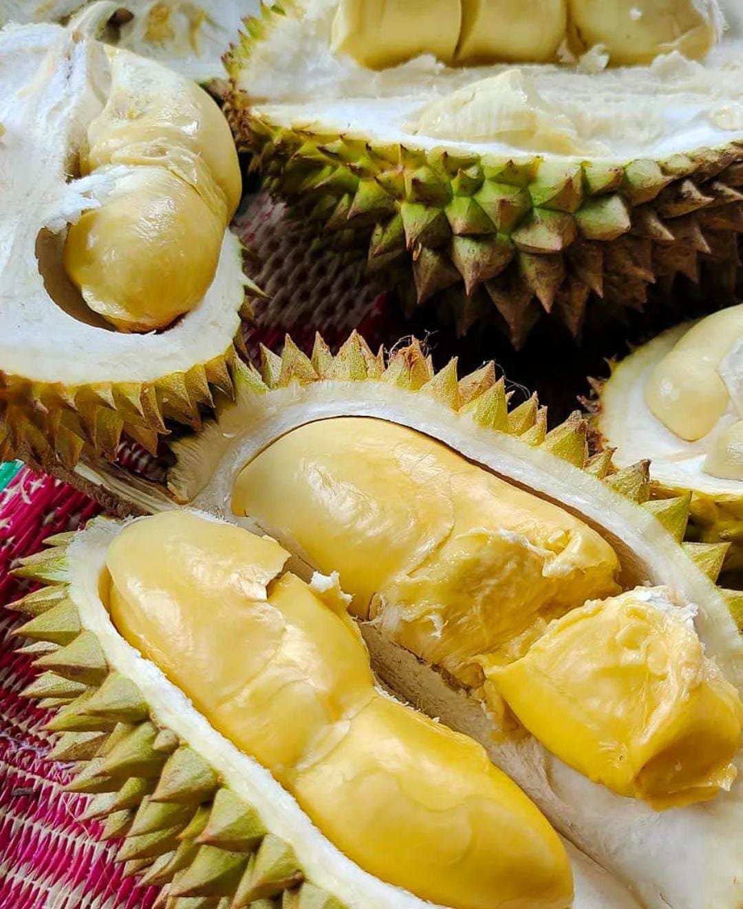 Konsumsi dalam Batas Wajar, Ini 5 Manfaat Durian Bagi Kesehatan 