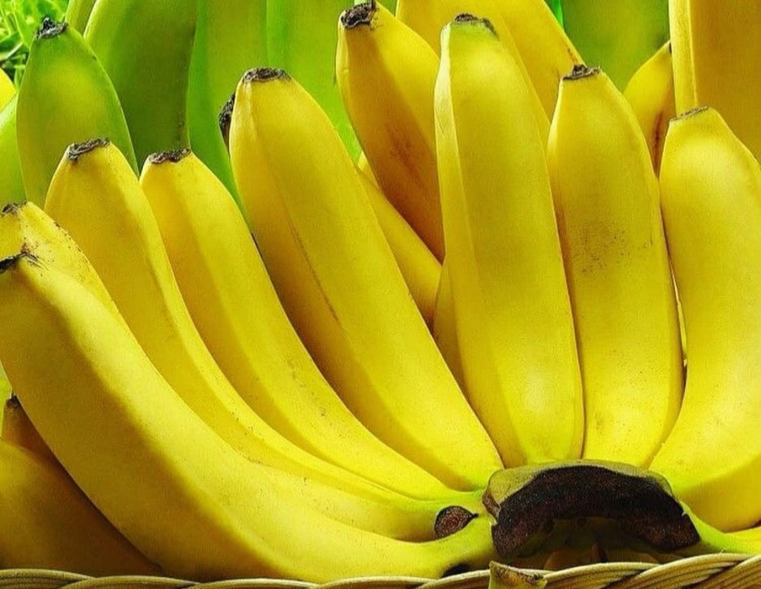 Tak Cuma Mendukung Fungsi Ginjal, Ini 7 Manfaat Rutin Mengonsumsi Buah Pisang untuk Kesehatan