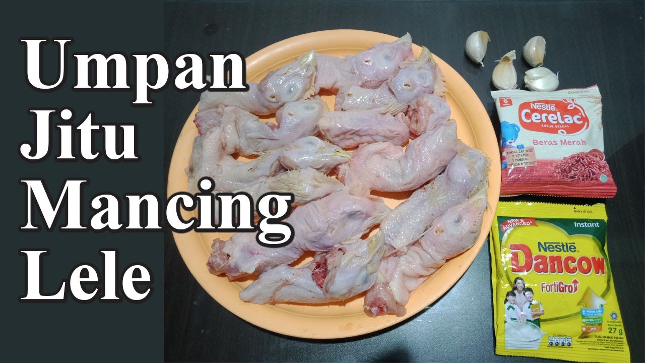 Strike Babon! Ini Dia 6 Umpan Lele Terbaik di Kolam Galatama 