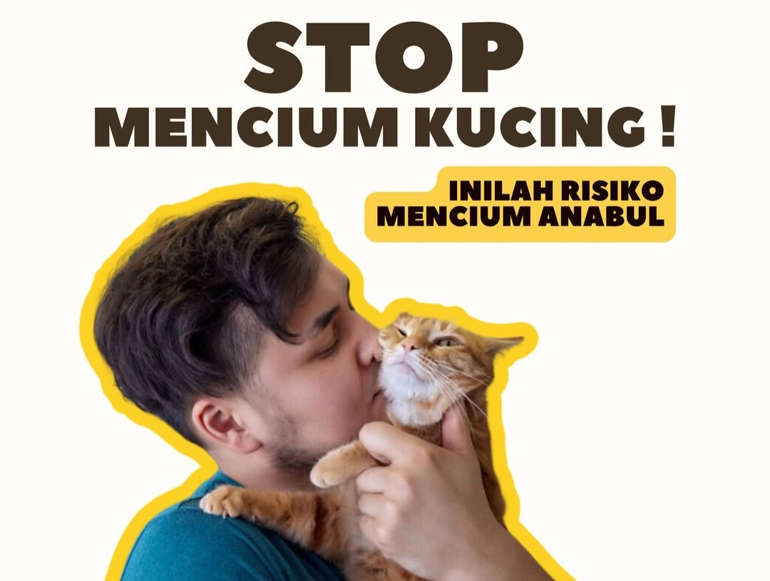 Stop Mencium Kucing! Ini 3 Bahaya dan Dampak yang Bisa Timbul dari Kebiasaan Ini