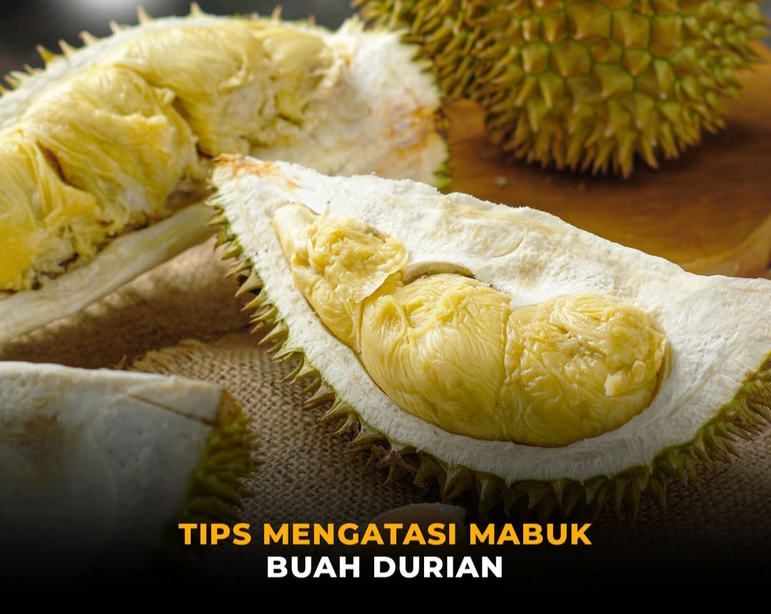 Banjir Durian di Bengkulu, Simak Trik Jitu Mengatasi Mabuk Durian Agar Tetap Nyaman!