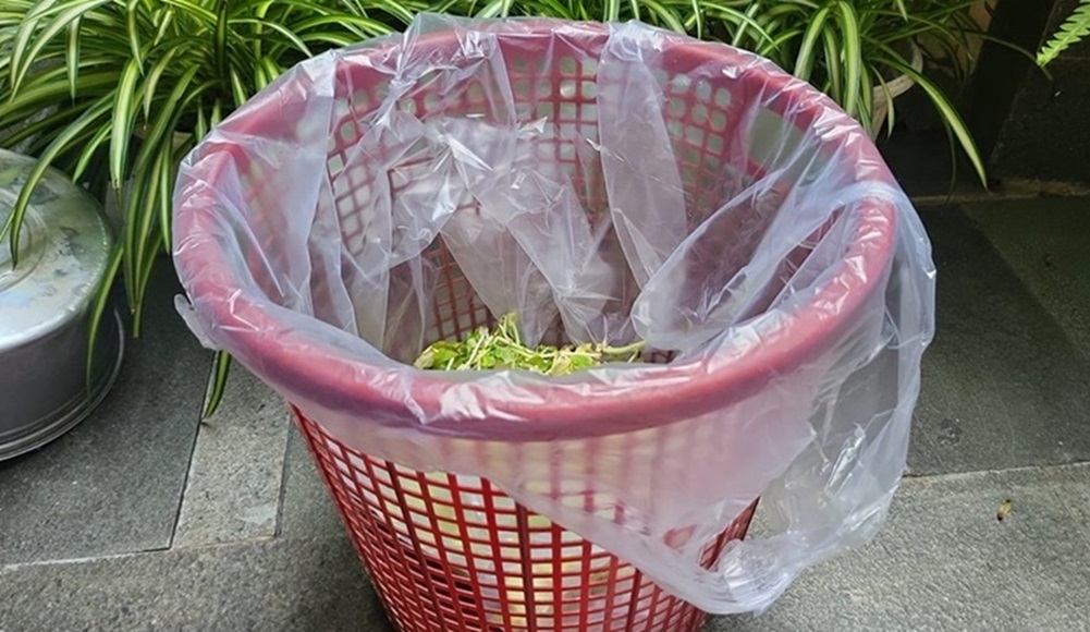 Bebas dari Lalat dan Belatung di Tempat Sampah, Cukup dengan Menaburkan 1 Bahan Ini 