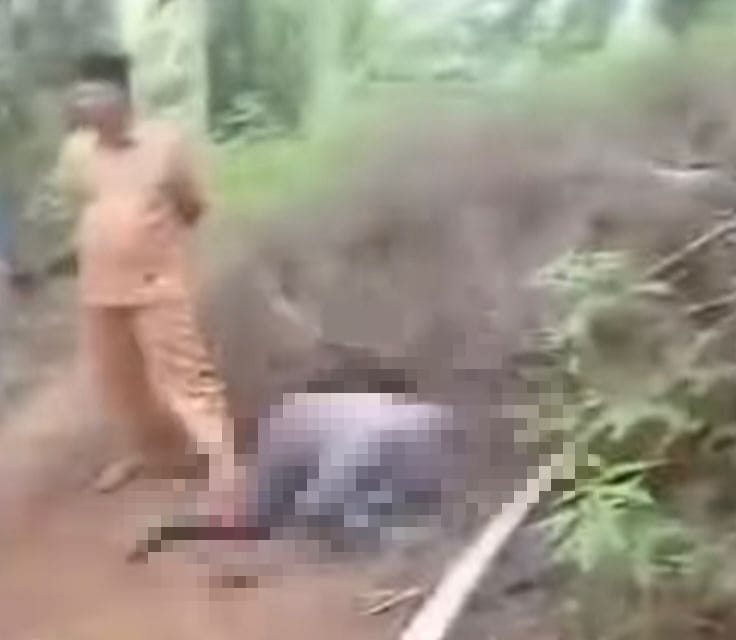 Penyebab Kematian Warga Desa Sidodadi Mukomuko, Diduga Akibat Kelelahan