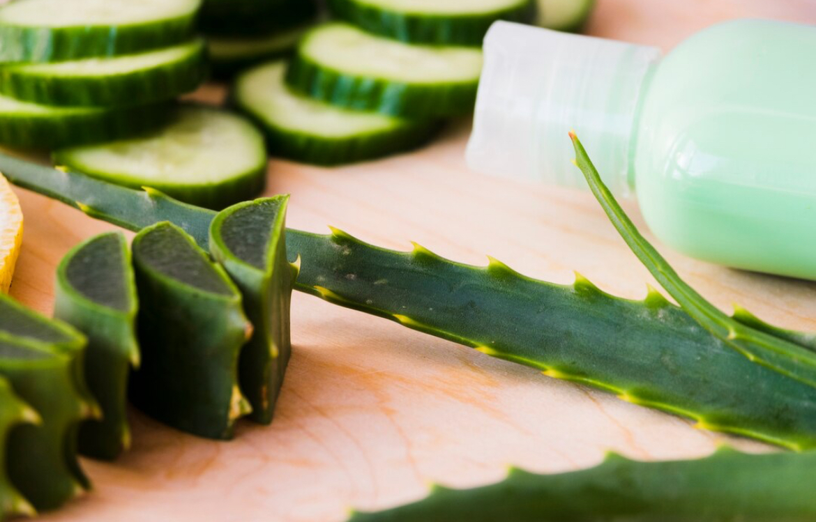 Tips dan Cara Praktis: Ini Rahasia Merawat Rambut dengan Aloe Vera