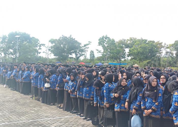 Batas Belanja Pegawai 30 Persen, Ribuan PPPK Mukomuko Terancam Dirumahkan