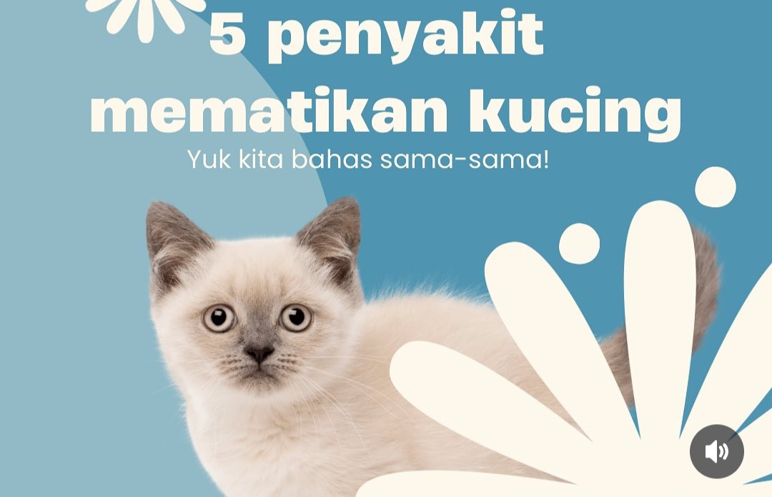 5 Penyakit Mematikan yang Bisa Menyerang Kucing dan Cara Mencegahnya