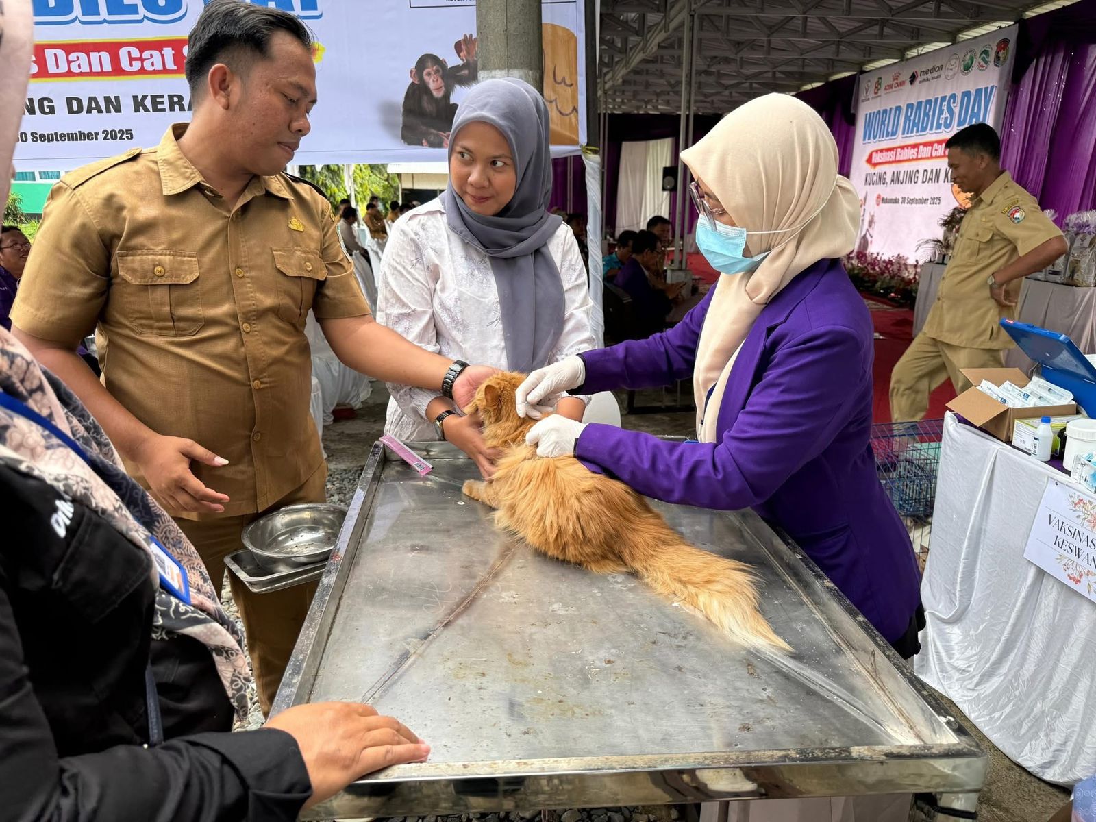 Menuju Mukomuko Bebas Rabies 2030, Dinas Pertanian Gencar Lakukan Vaksinasi dan Edukasi Masyarakat