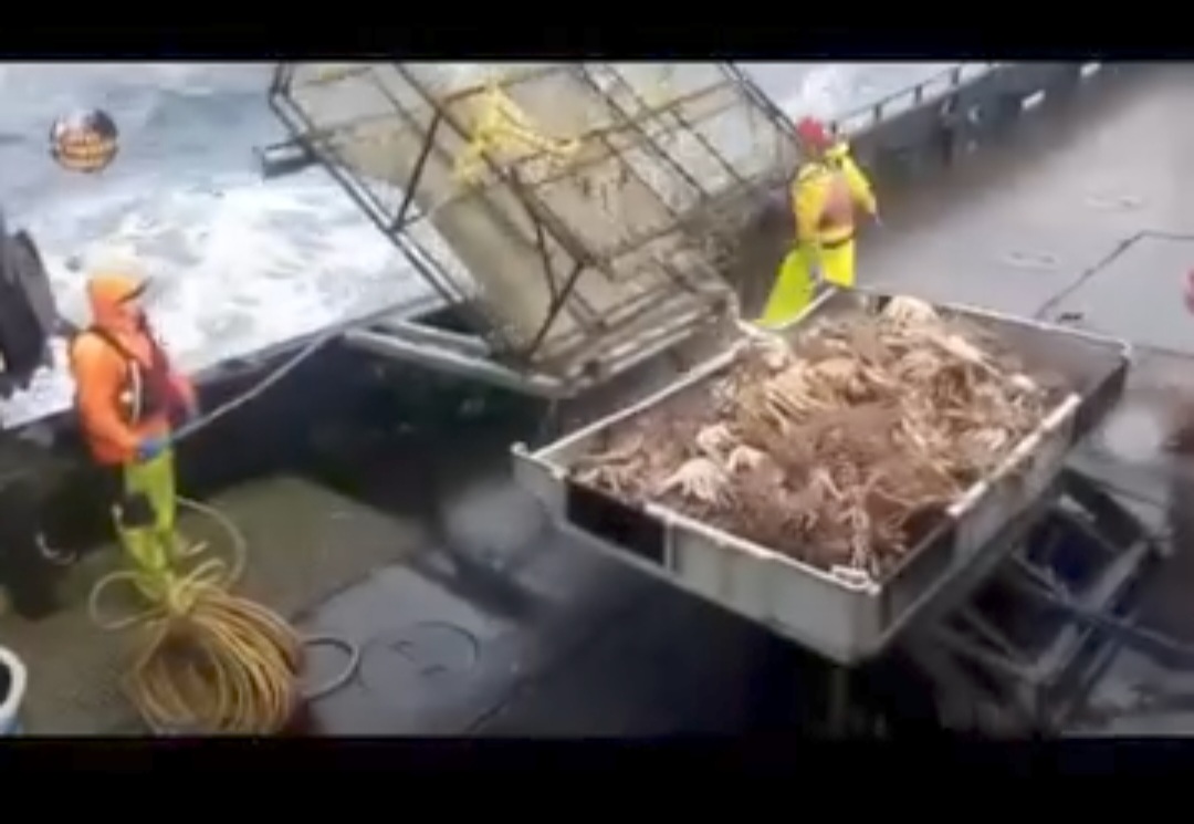 Wow! Nelayan Penangkap Kepiting Alaska Punya Pendapatan yang Fantastis, Ternyata Segini 