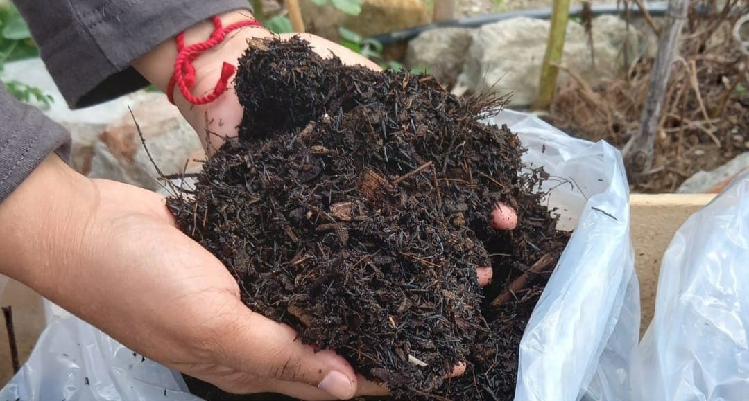 Manfaat Pupuk Kompos Ternyata Tak Cuma Memperbaiki Struktur Tanah, Begini Cara Membuatnya