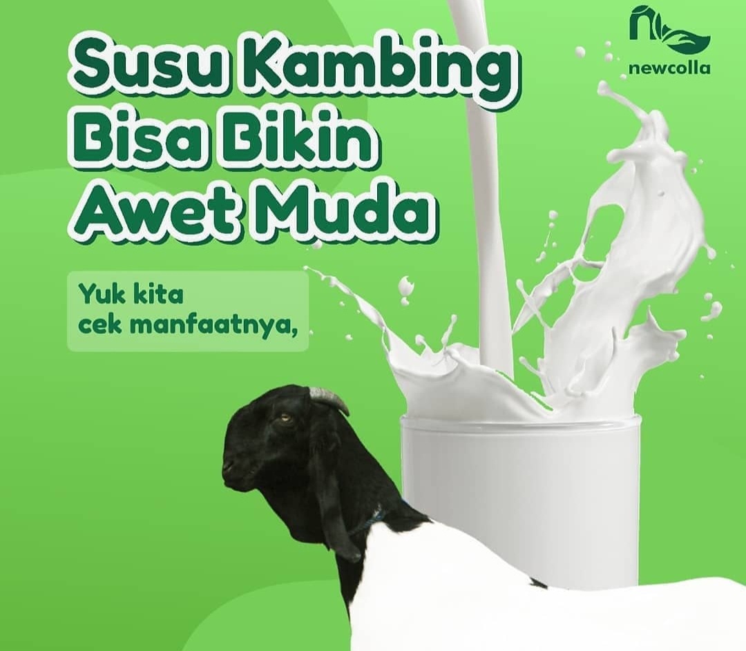 6 Manfaat Susu Kambing yang Membuat Awet Muda: Solusi Ideal untuk Usia 35 Tahun ke Atas