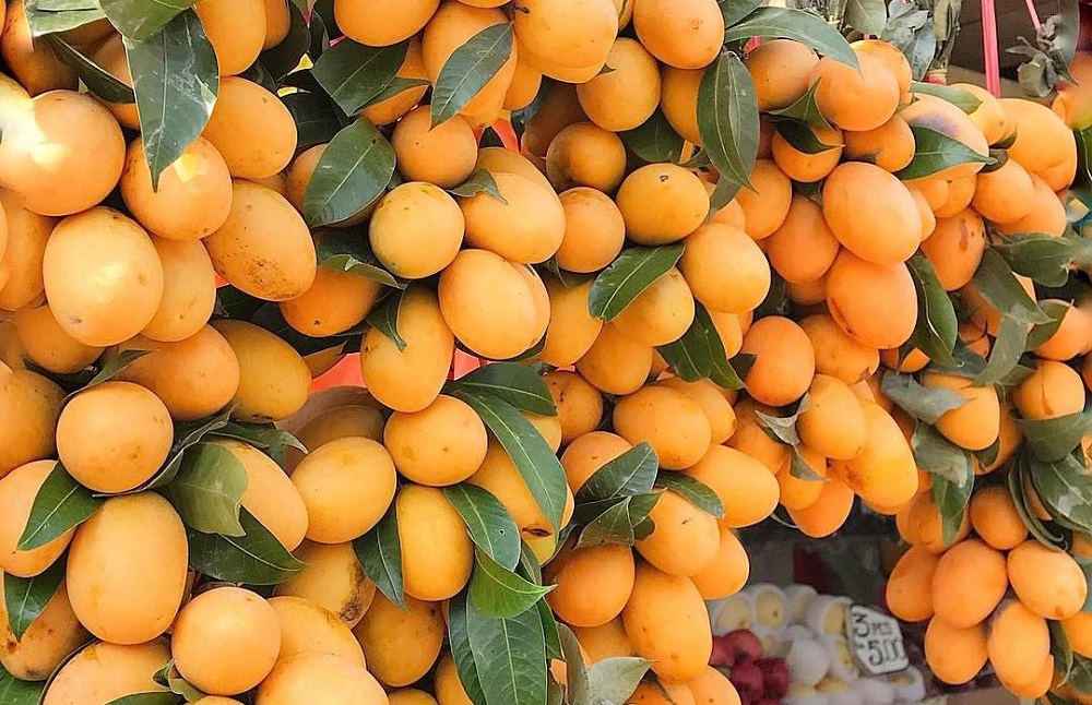 Mirip Mangga, Ini 6 Manfaat Buah Gandaria untuk Kesehatan yang Jarang Diketahui