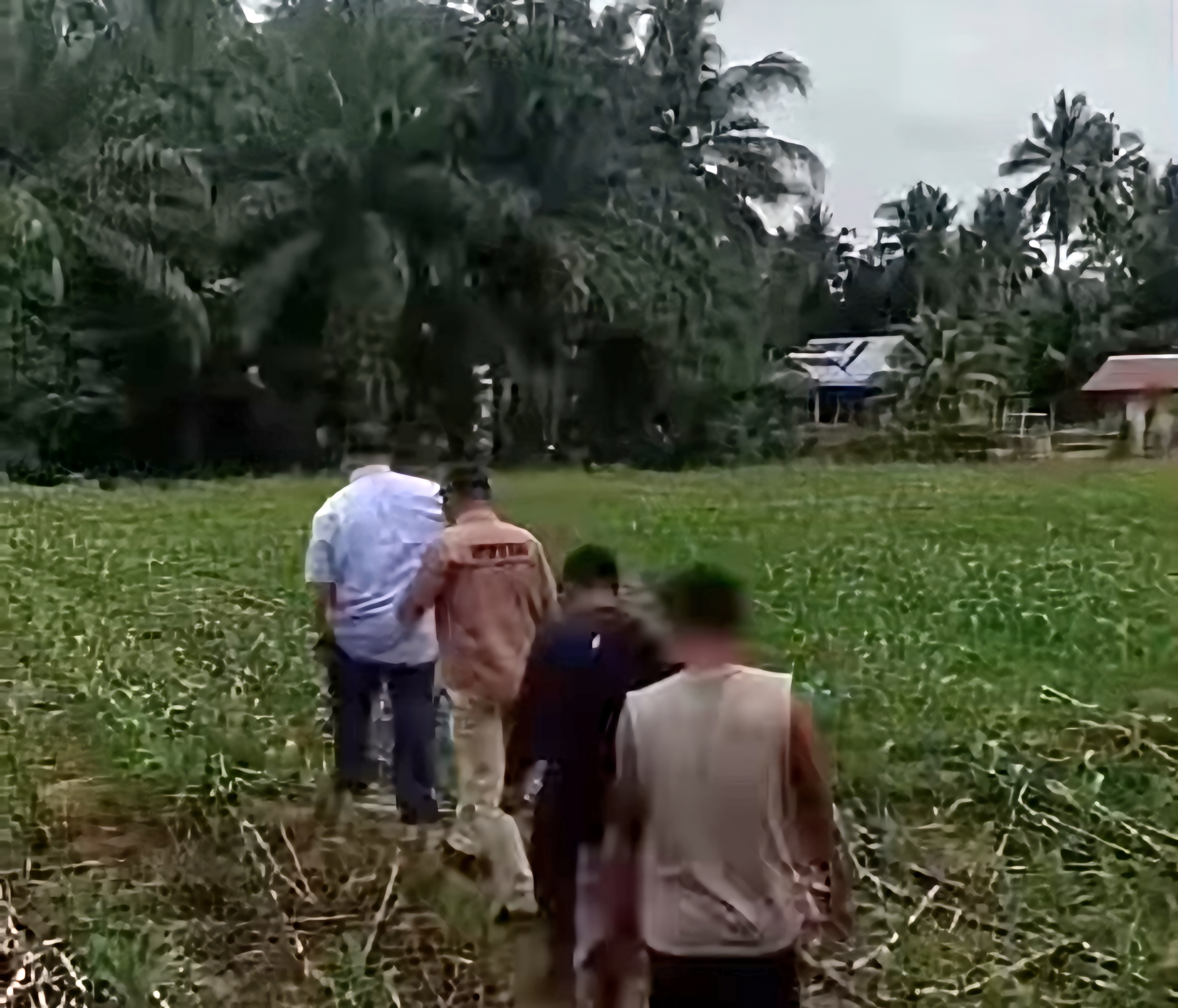 Bupati Bengkulu Selatan Siapkan Rehabilitasi 250 Hektare Sawah di Pino, Targetkan Dua Kali Tanam Padi Setahun