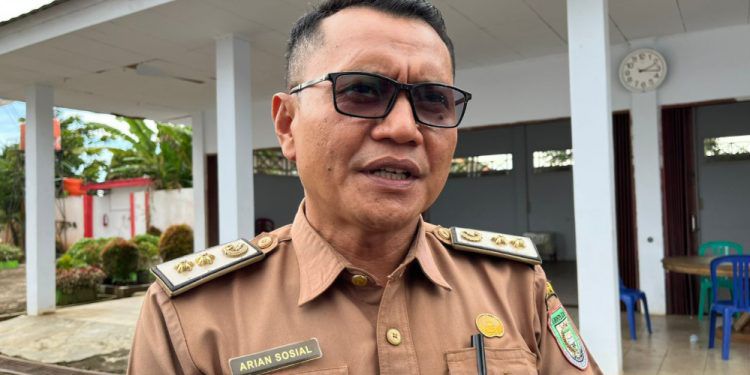 Kasus Gigitan Anjing di Seluma, Distan Tunggu Hasil Uji Laboratorium Rabies