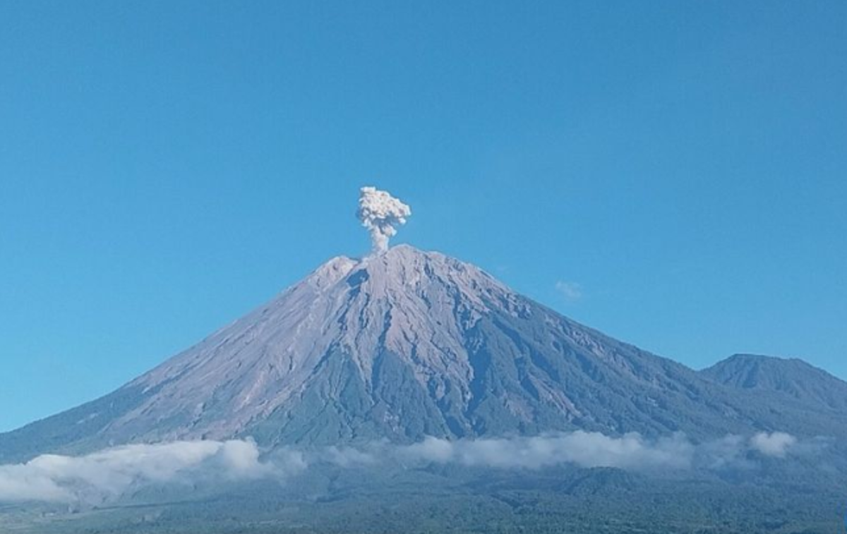 Waspada! Gunung Semeru di Jawa Timur Mengalami Erupsi dengan Tinggi Letusan 600 Meter