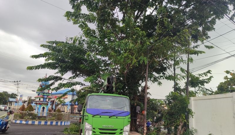 DLH Bengkulu Antisipasi Cuaca Ekstrem dengan Pemangkasan Pohon Protokol