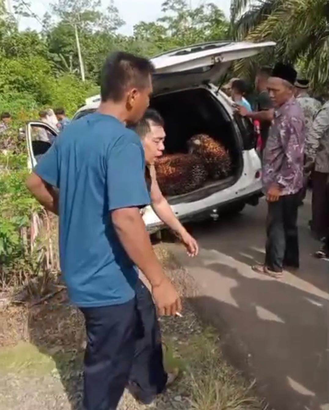 Pencurian Buah Sawit Gegerkan Bengkulu Utara, Pelaku Babak Belur Dihajar Warga