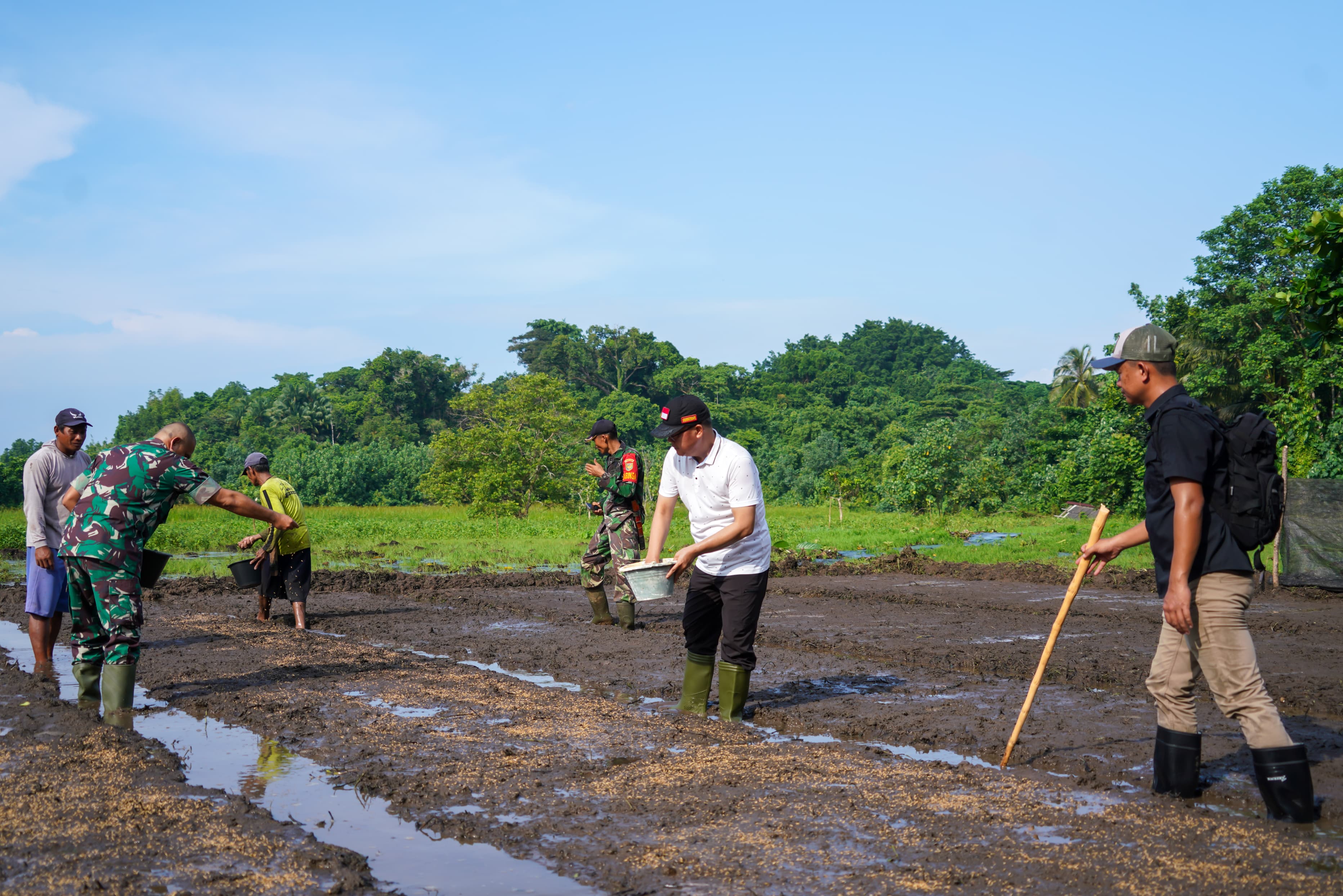800 Hektare Diusulkan ke Kementerian Pertanian, Bakal Dibangun Lahan Persawahan Baru untuk Masyarakat Enggano