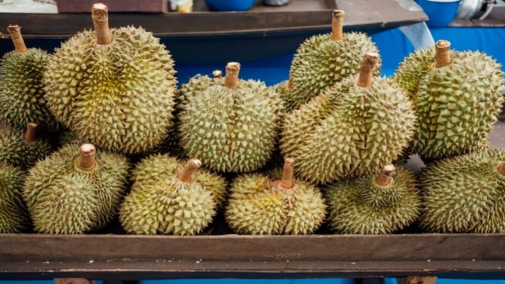 Disukai karena Rasanya, Ini 6 Jenis Durian yang Paling Diburu di Indonesia