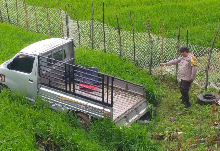 Pikap Terjun ke Sawah di Kaur, Sopir Selamat Meski Mobil Ringsek