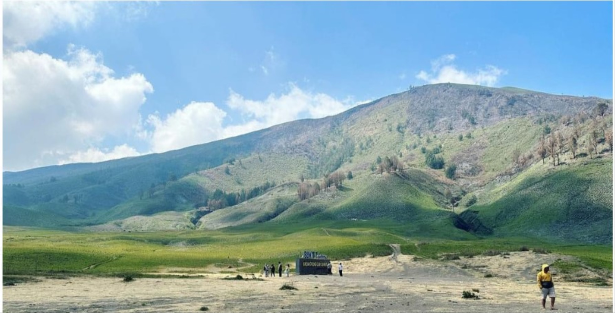 Bromo Kembali Menghijau, Kembali Dibuka untuk Wisatawan, Pembibitan Bunga Edelweis Dimulai 