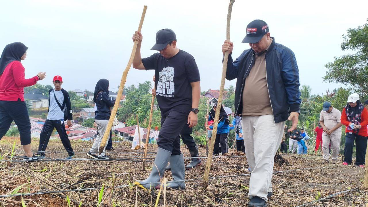 Dedy Wahyudi Gagas Program Jagung di TPU, Solusi Ketahanan Pangan Kota