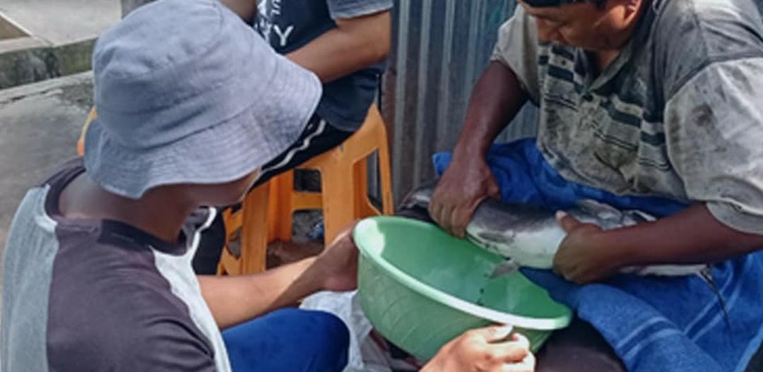 8 Langkah Pemijahan Ikan Lele, Lakukan dengan Benar Supaya Panen Berlimpah