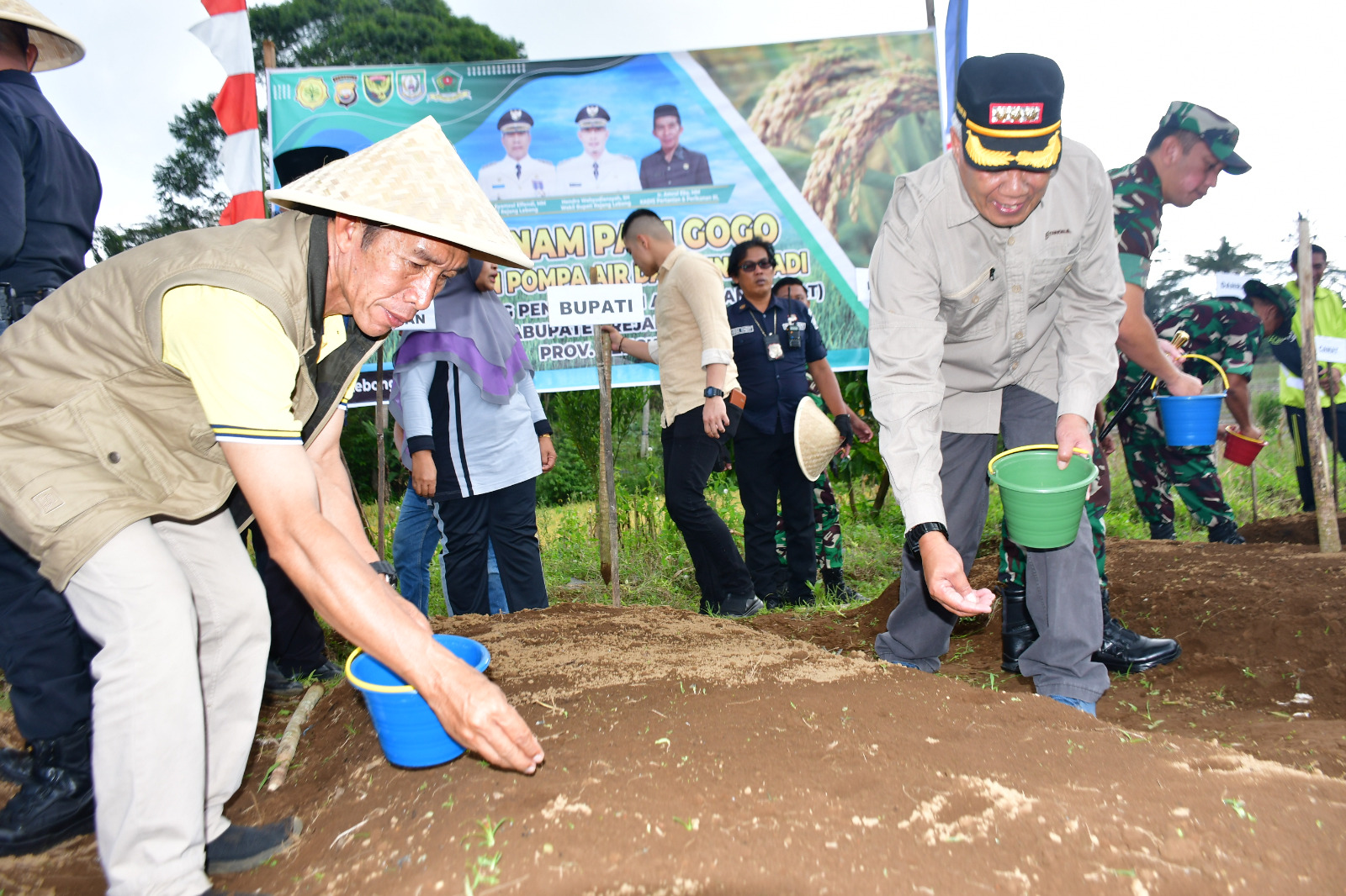 Lahan 10 Hektar di Rejang Lebong Ditebar 400 Kilogram Padi Gogo Varietas Kuku Balam