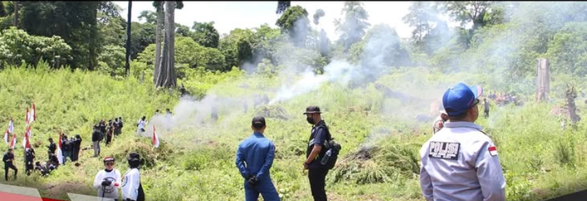 Terungkap! Ladang Ganja 25 Hektare di Aceh, 960 Ribu Batang Dimusnahkan