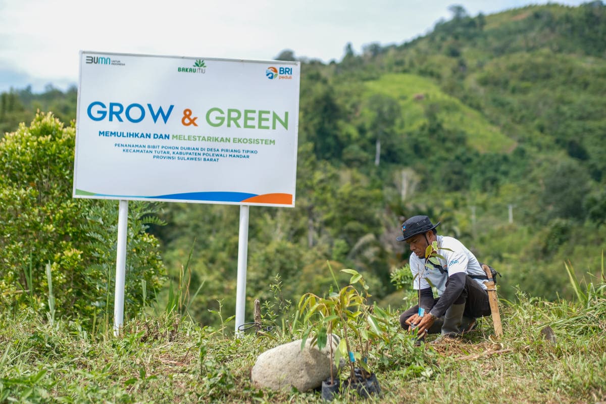 Bangkitkan Harapan Petani di Lahan Kritis, BRI Menanam Grow and Green Salurkan Bantuan Tanaman Produktif