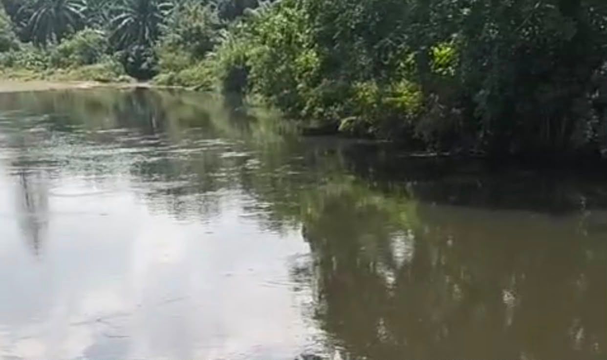 Sungai Selagan Menghitam, Warga Duga Akibat Limbah PT SAP