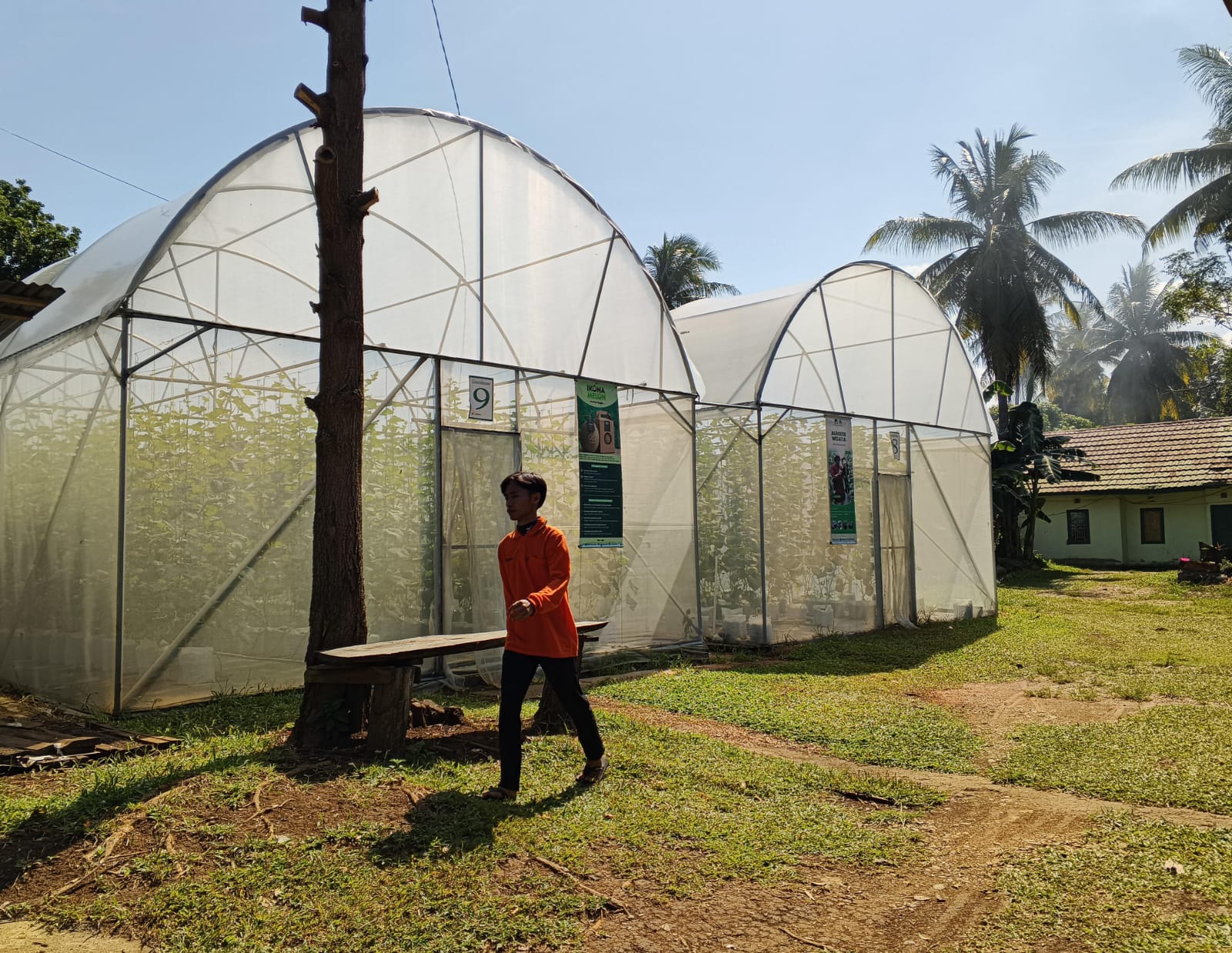 Tanah Gersang Jadi Kebun, Toboponik Sukses Bangkitkan Lahan Mati di Bengkulu Jadi Wisata Pertanian Modern