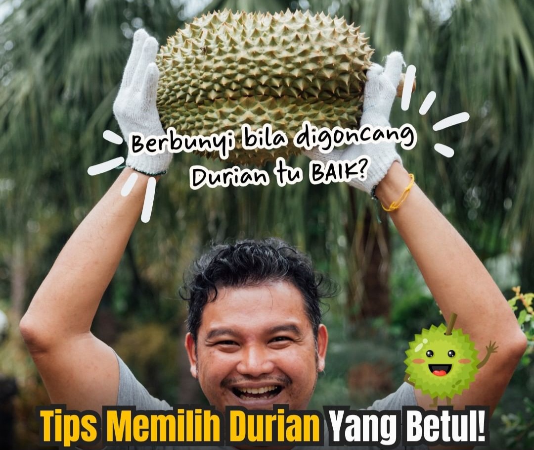 Cara Cerdas Memilih Durian Terbaik di Bengkulu, Tips dan Trik untuk Penggemar Raja Buah!